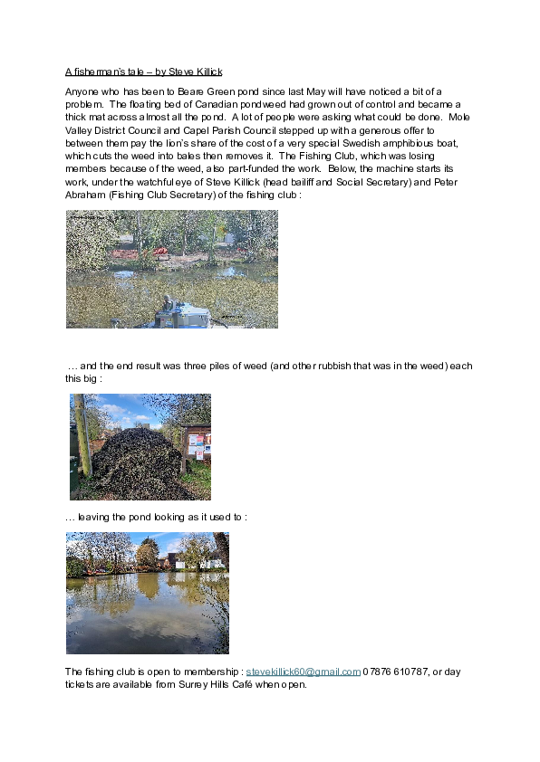 Beare Green Pond Clearance